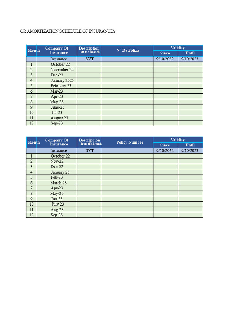 Insurance Amortization Schedule Overview | PDF | Demand For Money ...