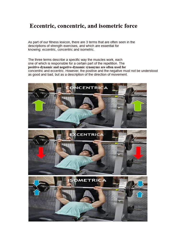 Understanding Eccentric, Concentric, Isometric Forces | PDF | Strength ...