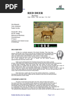 Deer Reproduction: Behavior and Ecology | PDF | Deer | White Tailed Deer