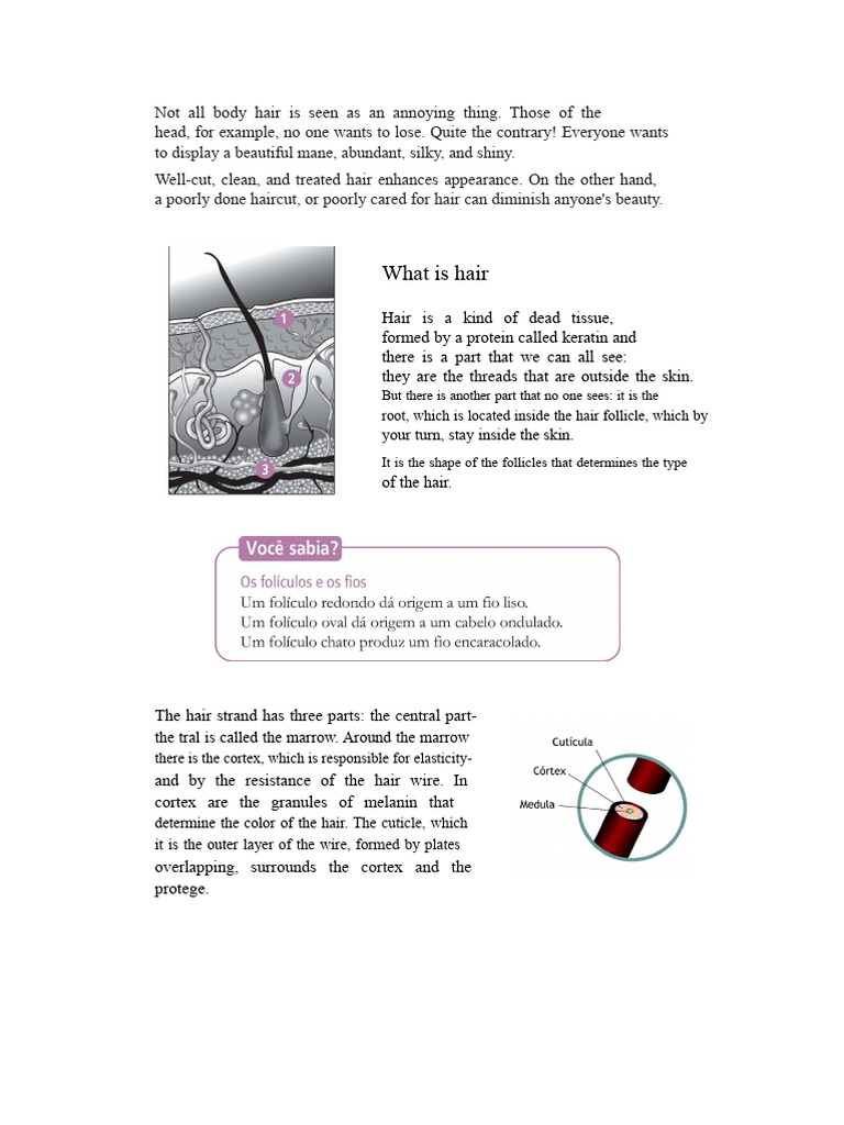 Understanding Hair Types and Care | PDF | Hair | Hairstyle