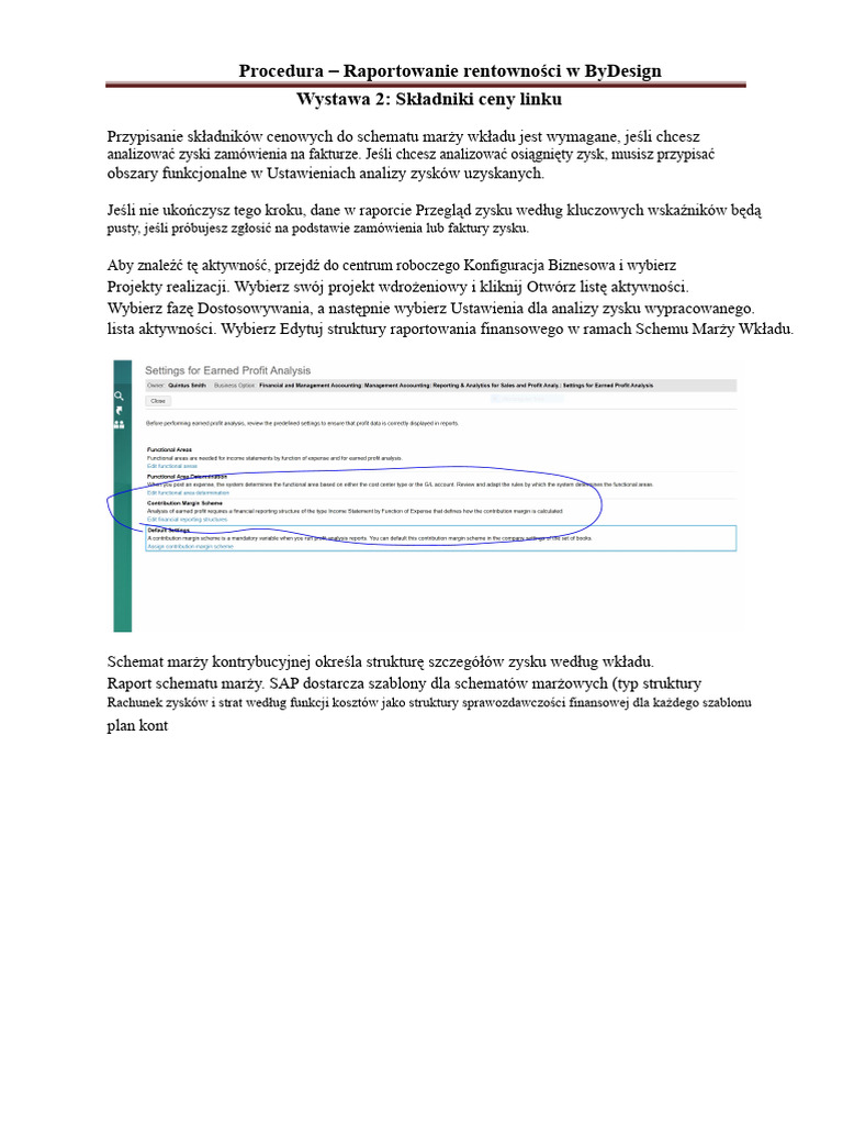 Procedura - Raportowanie Rentowności W ByDesign - Przykład | PDF