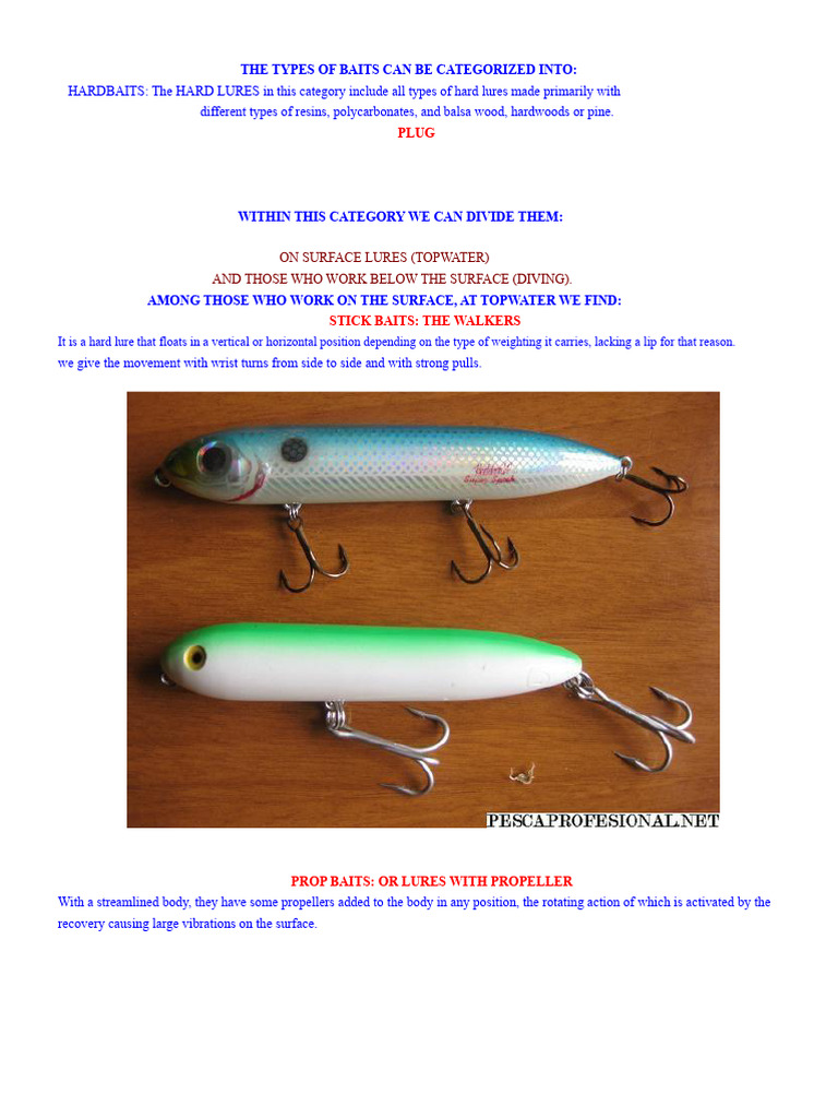 Types of Fishing Lures Explained | PDF | Fishing Techniques And Methods |  Outdoor Recreation