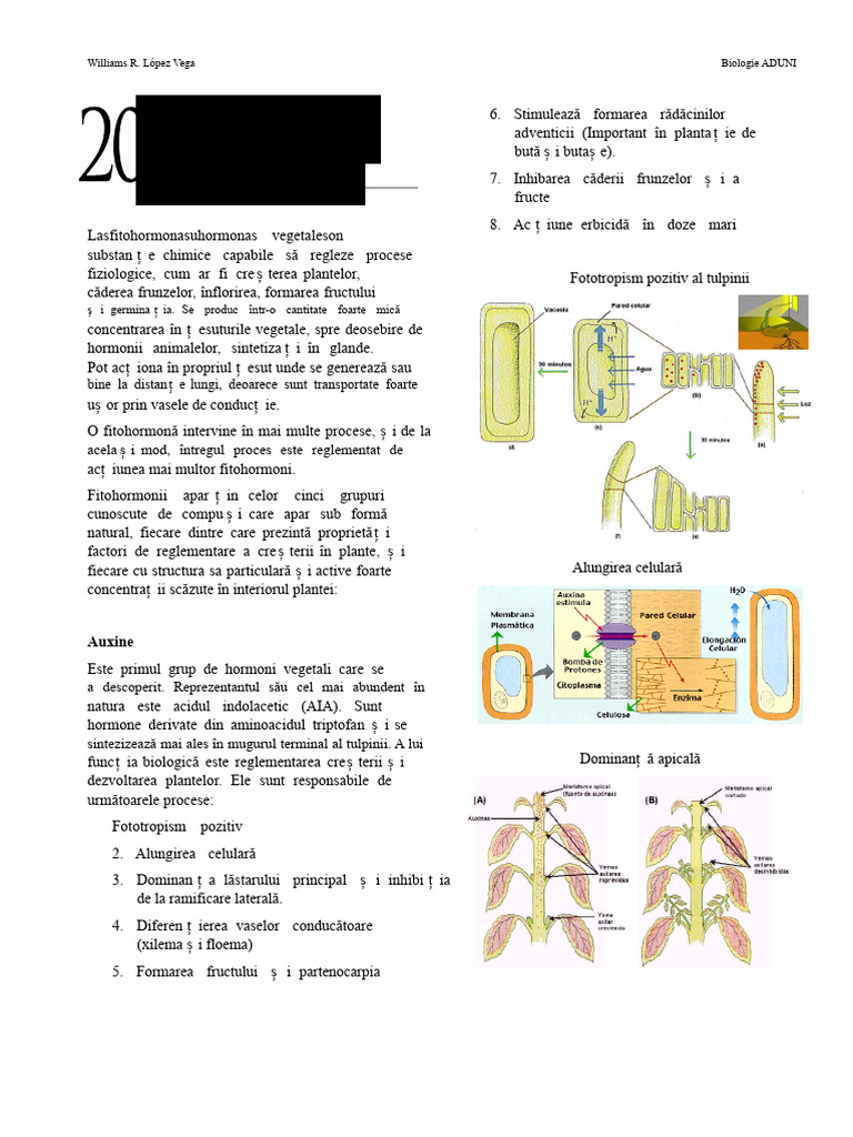 20 Hormoni Vegetali | PDF