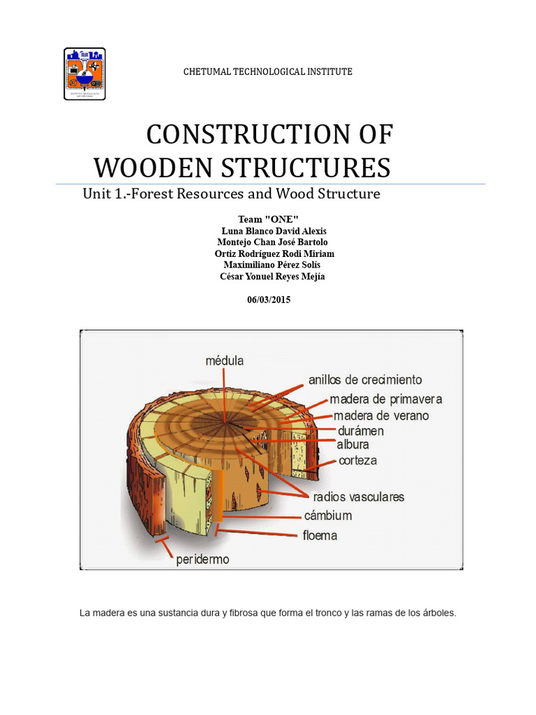 Wood Composition and Structure Overview | PDF | Wood | Trees