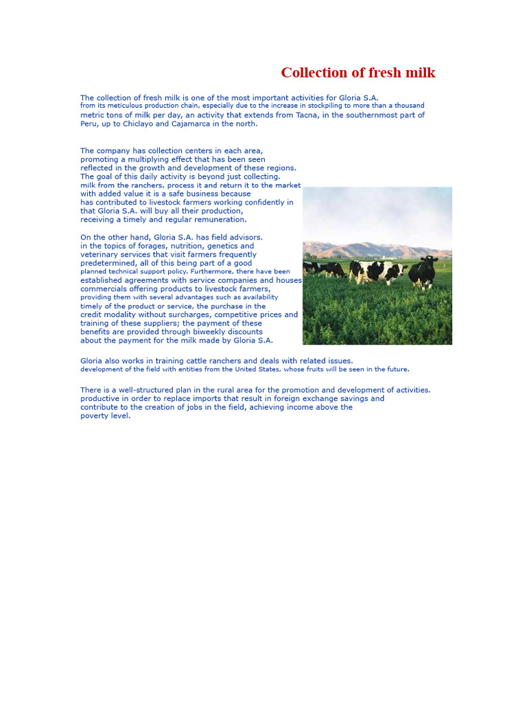 Fresh Milk Collection Process by Gloria S.A. | PDF | Milk | Cheese