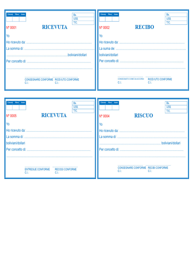 Formato Ricevuta | PDF