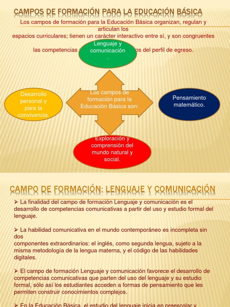 Campos de formación para la Educación Básica