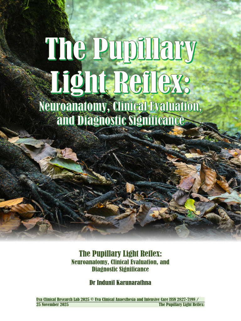 Pupillary Light Reflex: Clinical Insights | PDF | Human Anatomy ...