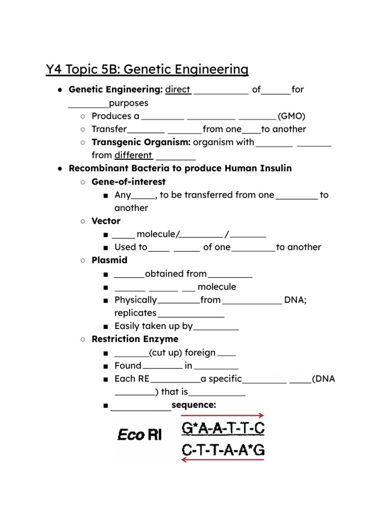 9 Genetic Engineering Blank | PDF | Plasmid | Restriction Enzyme