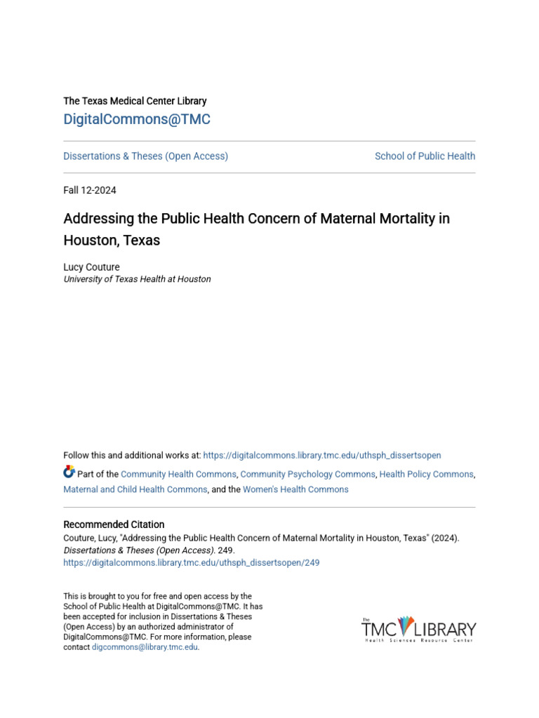 Addressing the Public Health Concern of Maternal Mortality in Hou | PDF ...