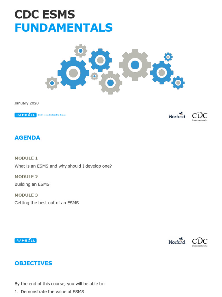 ESMS Development and Implementation Guide | PDF | Risk | Occupational ...