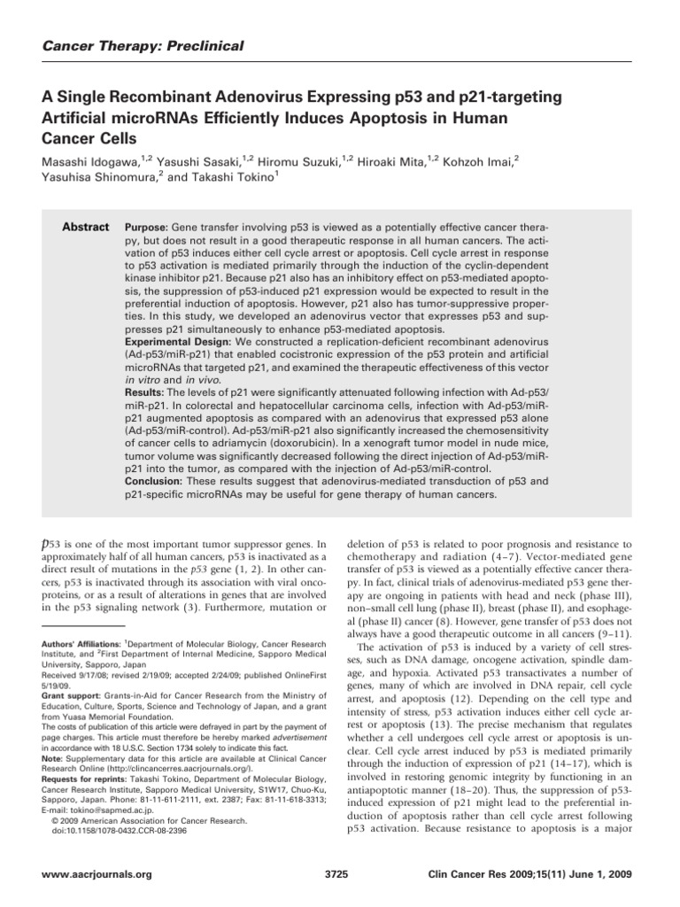 A Single Recombinant Adenovirus Expressing p53 and P21-Targeting ...
