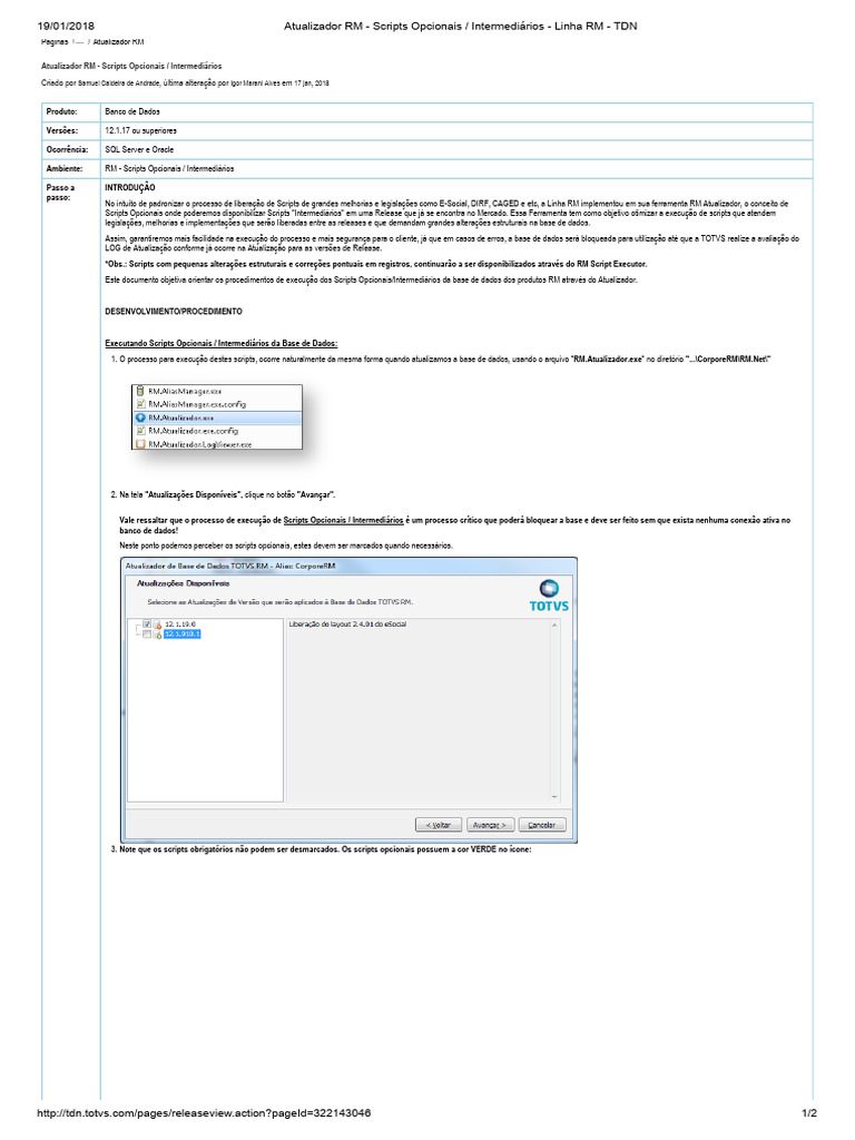 Atualizador RM - Scripts Opcionais _ Intermediários - Linha RM | PDF ...