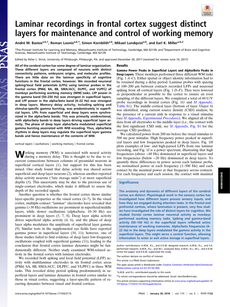Frontal Cortex Layers in Working Memory | PDF | Cerebral Cortex ...