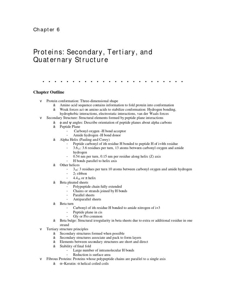 Protein pdf alpha helix beta sheet
