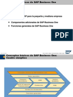 1 Conceptos Básicos de SAP Business One