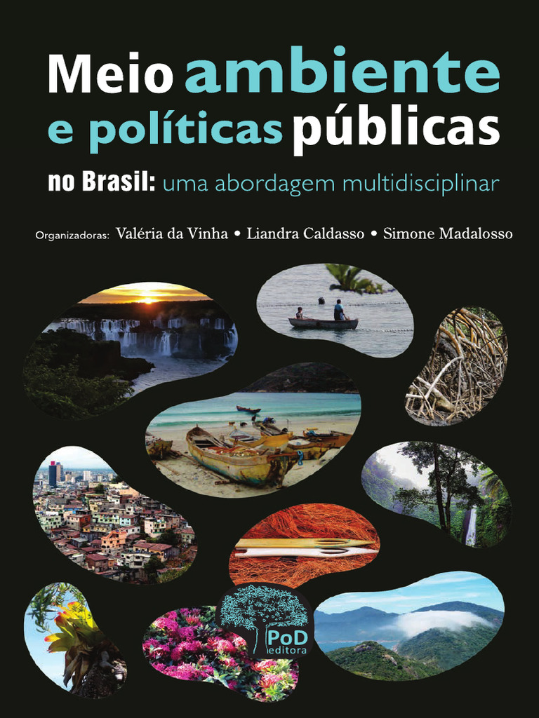 Políticas Ambientais no Brasil: Abordagem Multidisciplinar | PDF ...