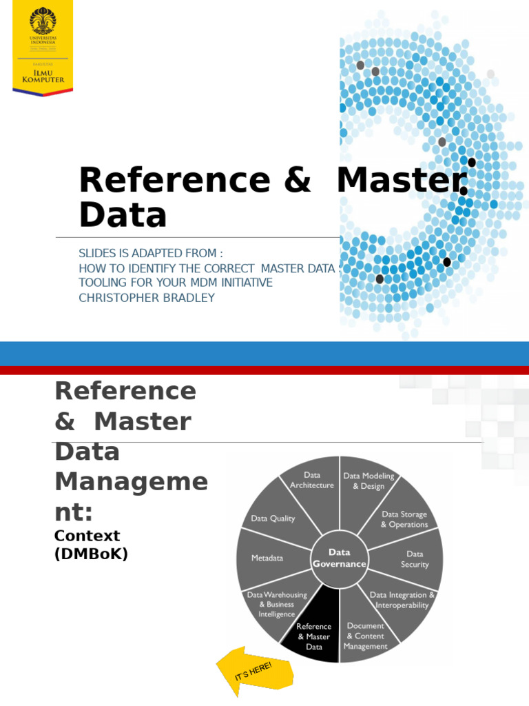 Master Data Management Essentials Guide | PDF | Data Quality | Databases