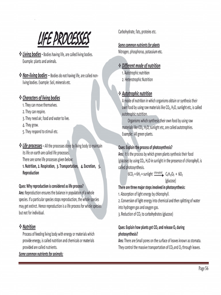 50 | PDF