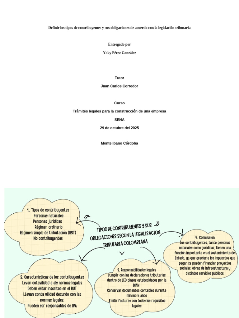 Definir Los Tipos de Contribuyentes y Sus Obligaciones de Acuerdo Con ...