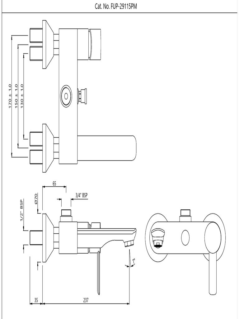 BSP Fittings Specifications Guide | PDF
