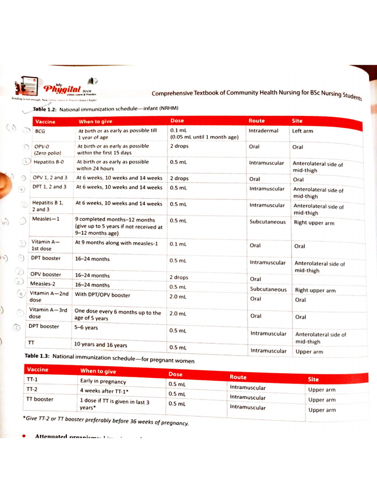 CHN 2 (Prefinal) | PDF
