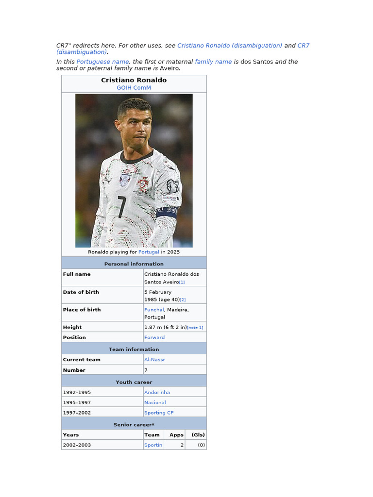 Bus to Tame Impala - Busforfun.com, image size:768x1024