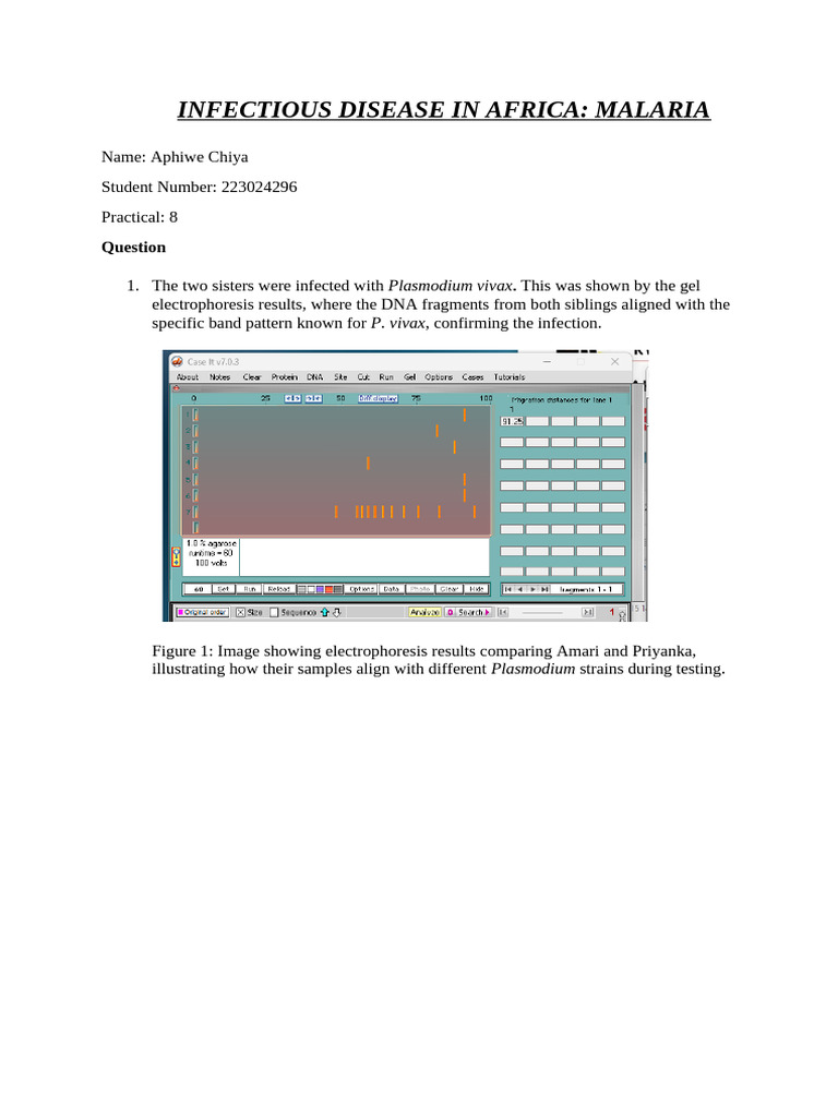 Prac 8 to Be Sumitted | PDF