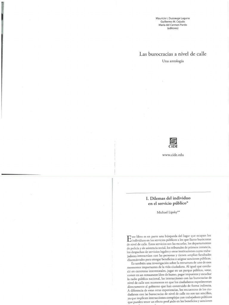 1. Lipsky, M. (2010) | PDF