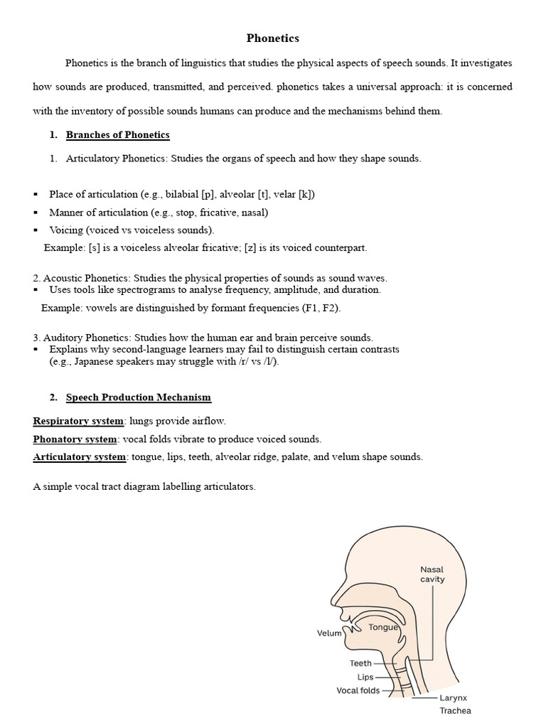 Understanding Phonetics and Phonology | PDF | Phonetics | Phoneme