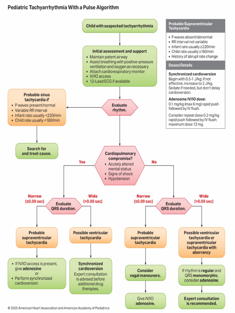 Algorithm PALS Tachyarrhythmia 250117 | PDF
