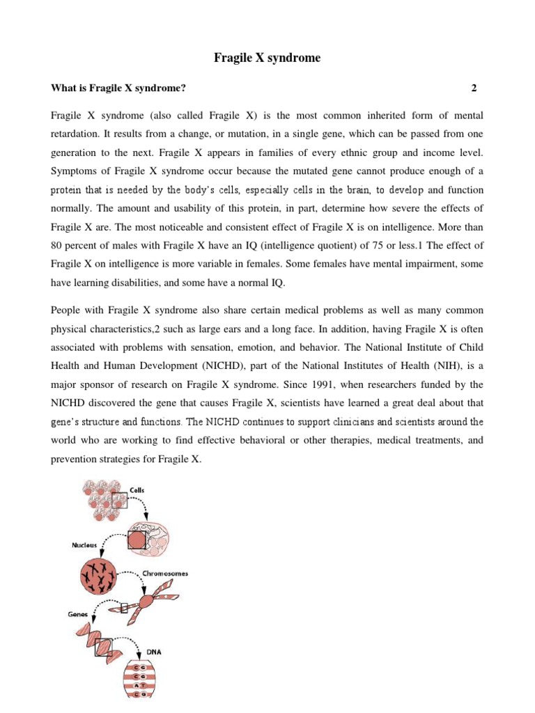 What Is Fragile X Syndrome | PDF | Special Education | Individualized ...