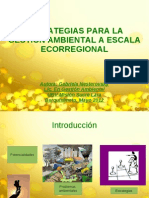 Estrategias Para La Gestion Ambiental Ecorregional