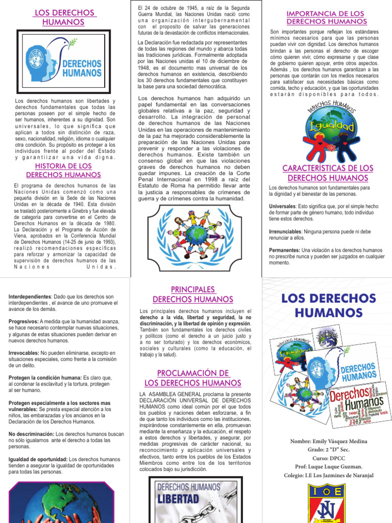 Historia y Importancia de los Derechos Humanos | PDF | Derechos humanos ...