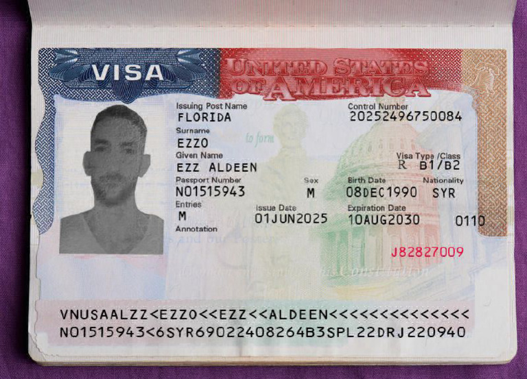 Visa Card | PDF