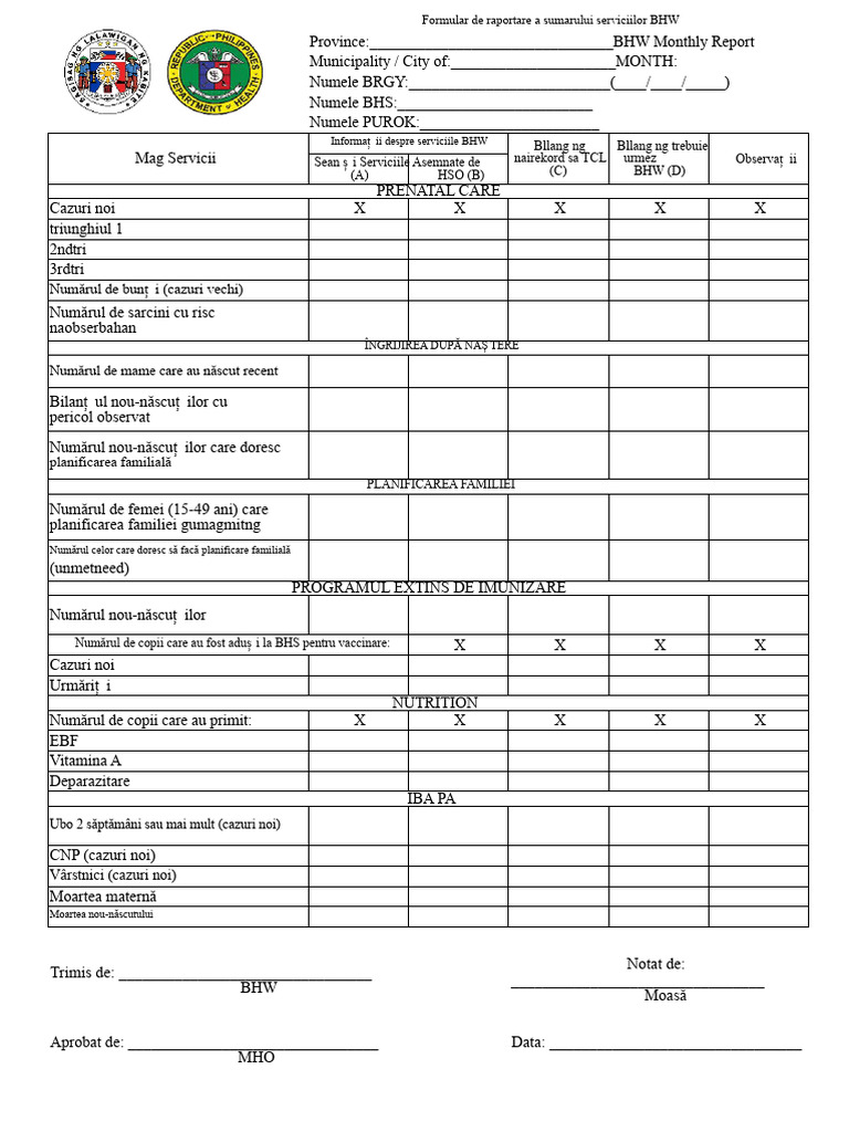 Formular de Raportare A Serviciilor BHW | PDF