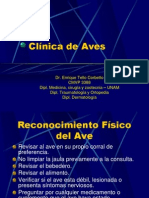 Clinica de Aves 1