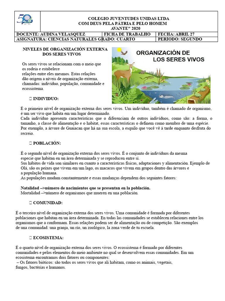Níveis de Organização Dos Seres Vivos 4º Ano | PDF | Ecossistema ...