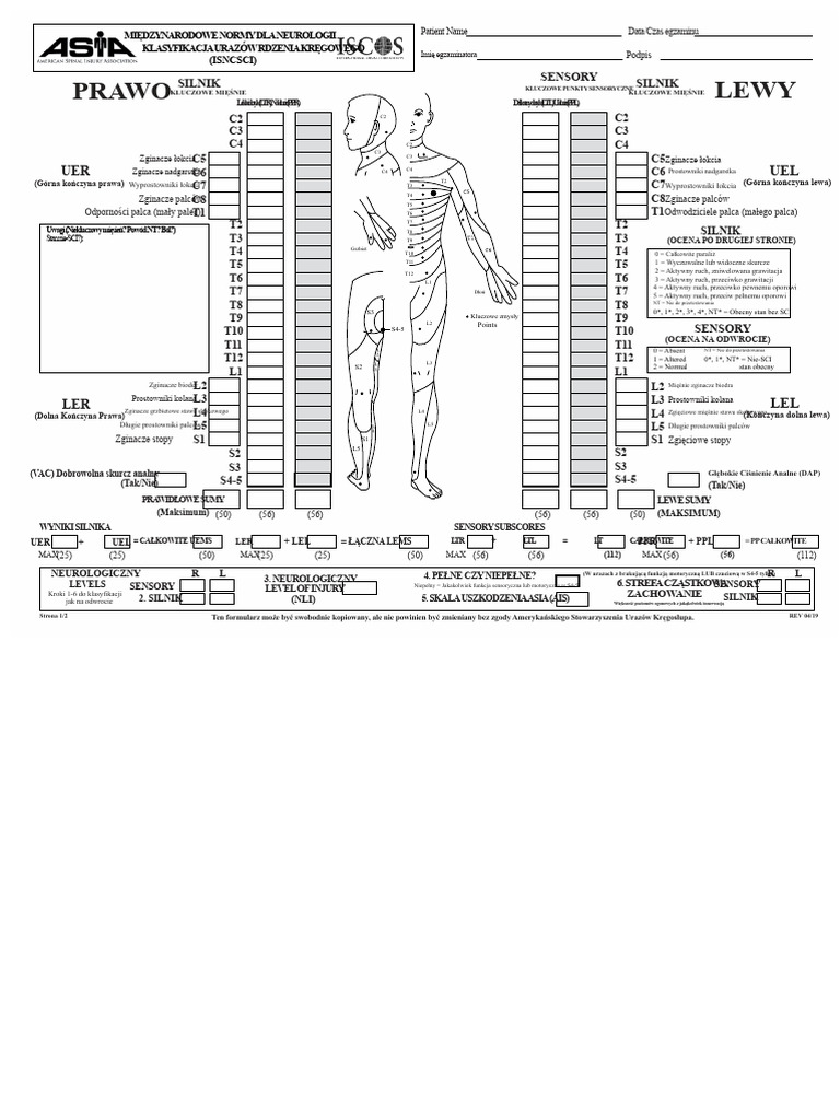 ASIA ISCOS Międzynarodowy Arkusz Roboczy 2019 | PDF