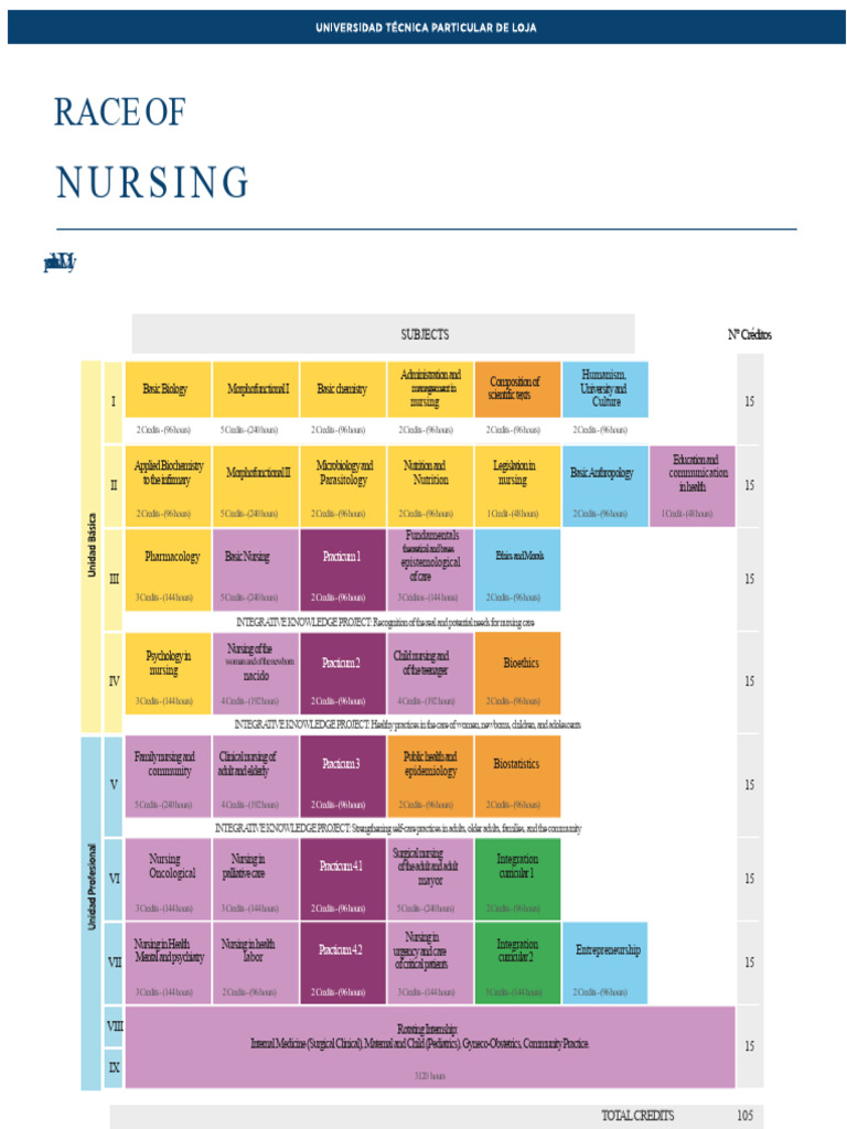 Nursing Program Curriculum Overview | PDF | Nursing | Health Care
