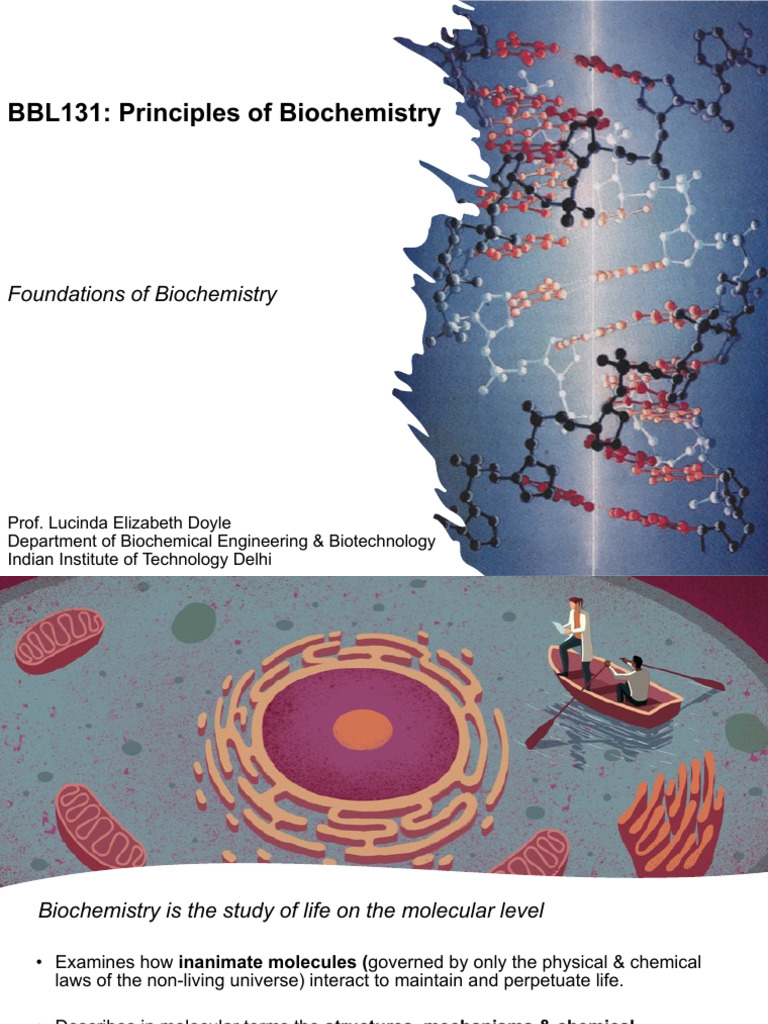 Biochemistry Principles Overview | PDF | Acid | Acid Dissociation Constant