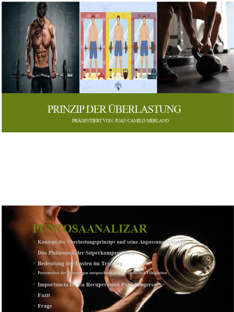 Prinzip Der Überlastung | PDF