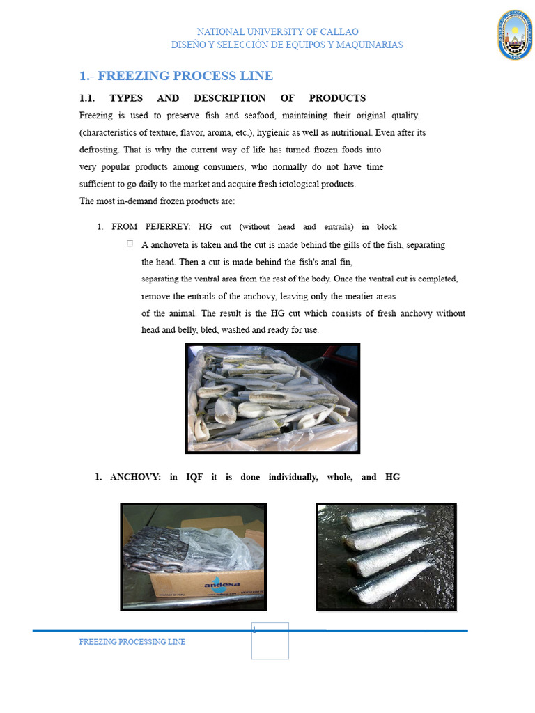 Freezing Process for Fish and Seafood | PDF | Ice