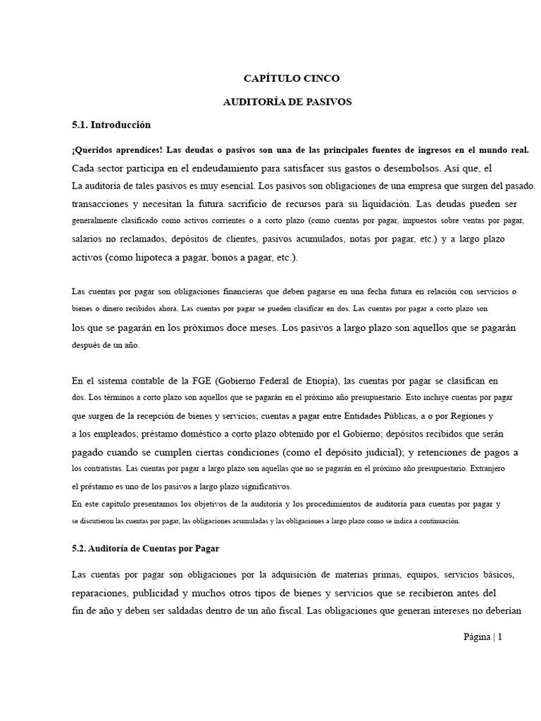 Auditoría de Pasivos y Cuentas por Pagar | PDF | Cuentas por pagar ...