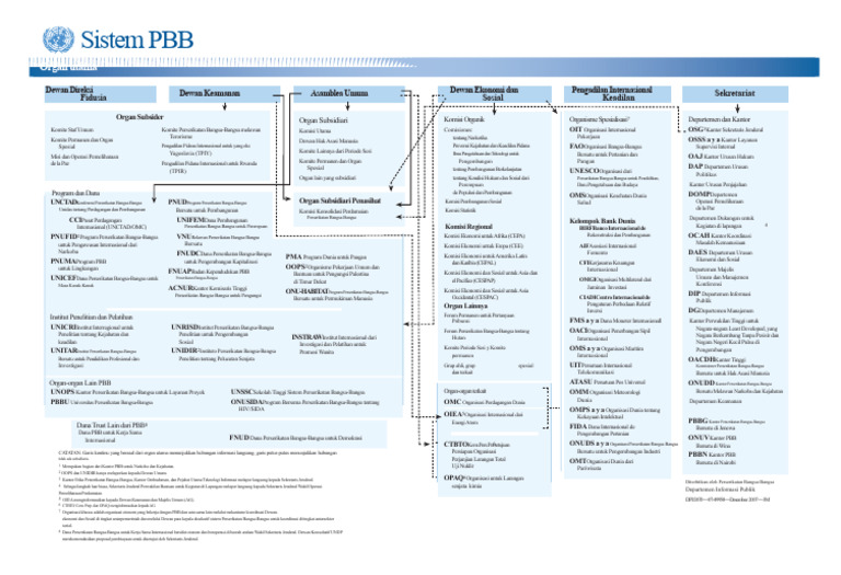 Struktur Organ PBB dan Fungsinya | PDF
