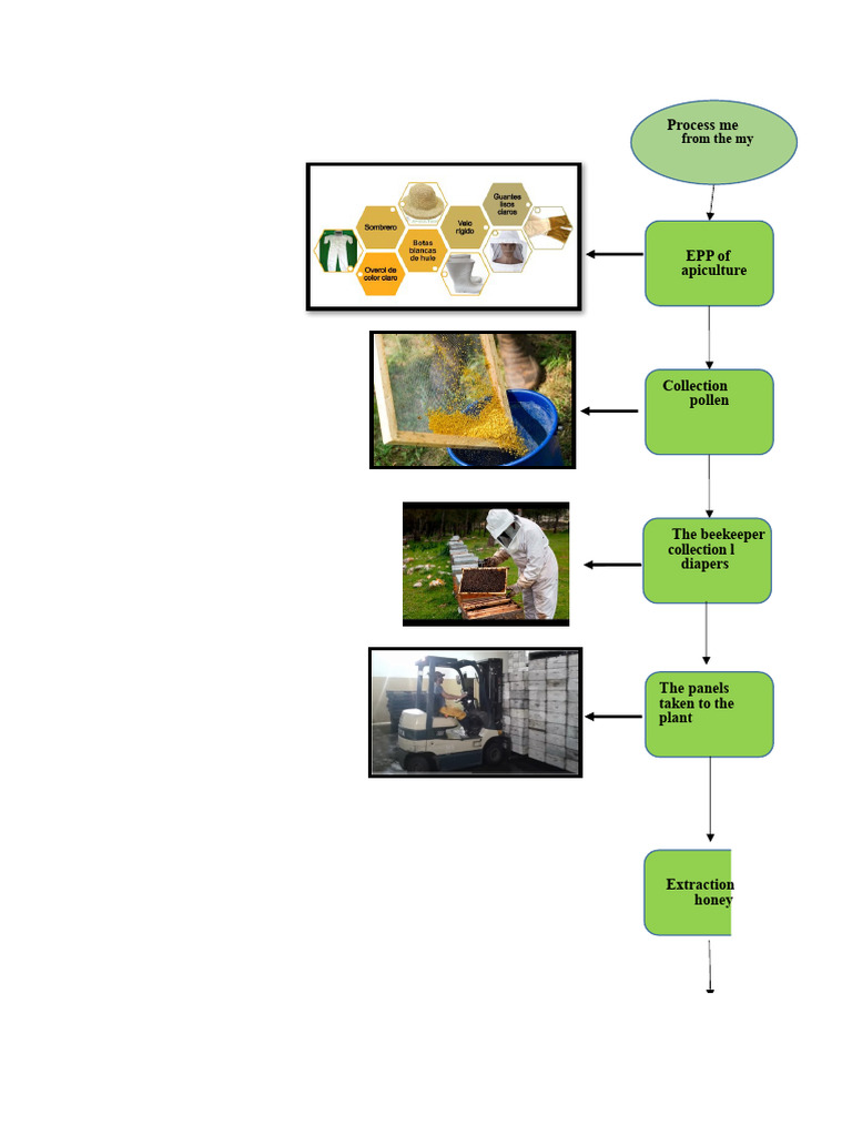 Flowchart | PDF