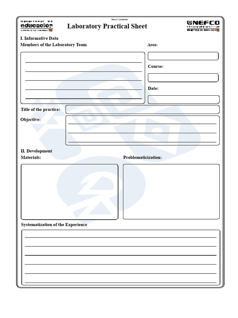 Laboratory Practical Sheet Professor Saul | PDF | Data | Experience