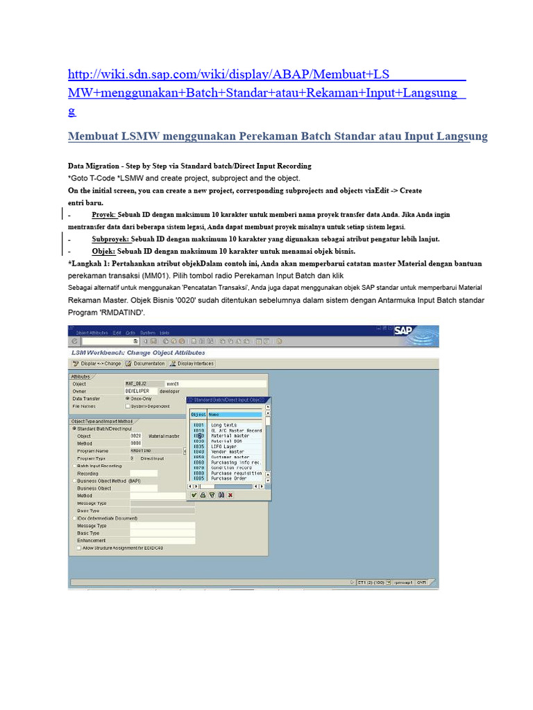 Membuat LSMW dengan Input Batch SAP | PDF