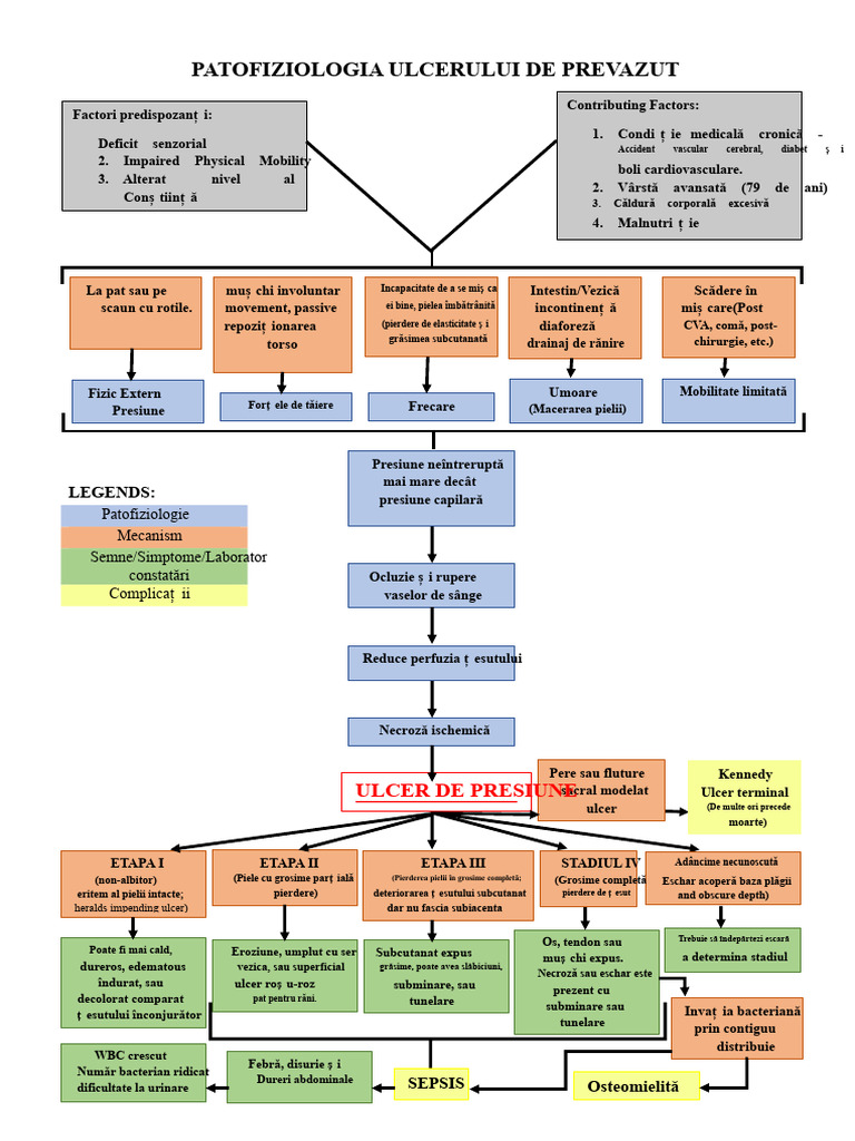 Patofiziologia Ulcerelor de Preput | PDF