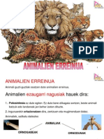 Animaliak